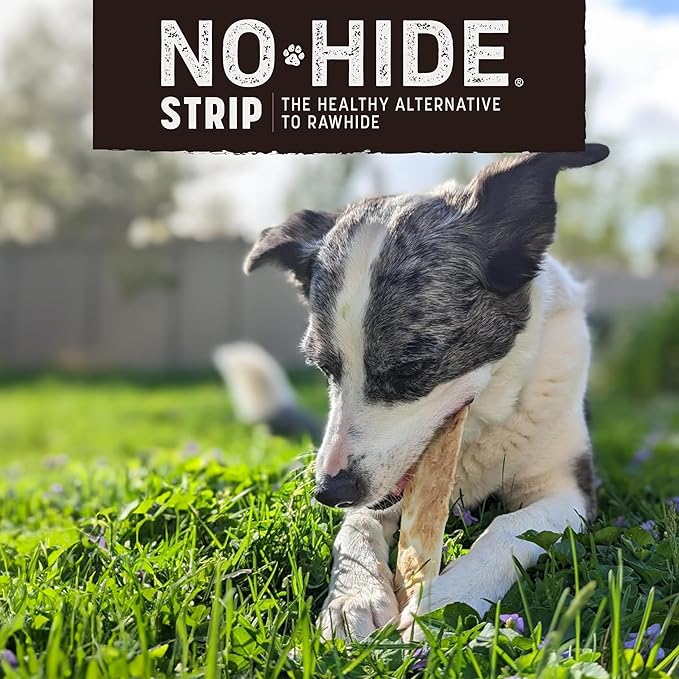 Earth Animal No Hide Strips - Natural Rawhide Free Dog Chew Strips, Barbeque Smoked Chicken & Turkey - 16 Count