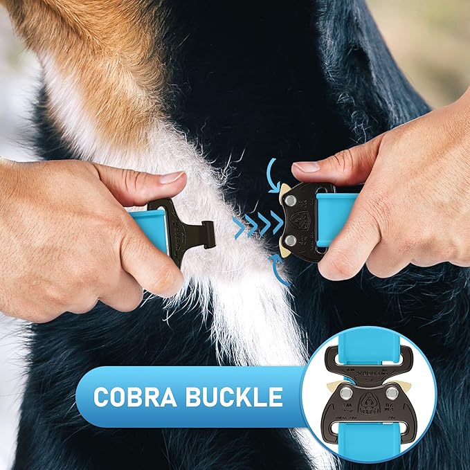 Biothane Dog Collar with Cobra Buckle - Made in USA - QR Code Dog Tag ID Included - Adjustable Heavy Duty Dog Collars for Medium Large Dogs - Waterproof Military Grade Tactical Collar for Dogs