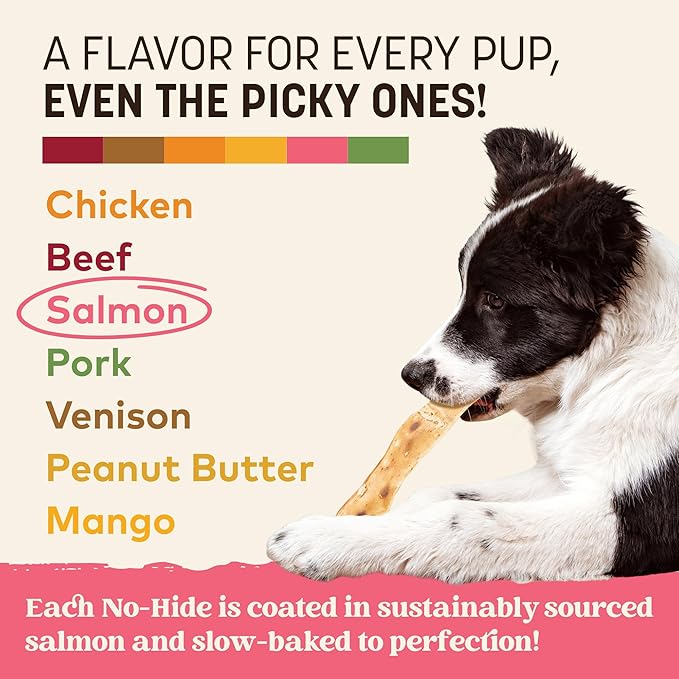 Earth Animal No Hide Strips - Natural Rawhide Free Dog Chew Strips, Salmon - 16 Count