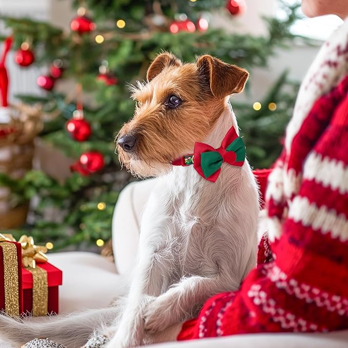 azuza Christmas Dog Collar Santa Print Xmas Pet Collar with Removable Red and Green Bowtie, Adjustable Dog Collar Accessories for Small Dogs