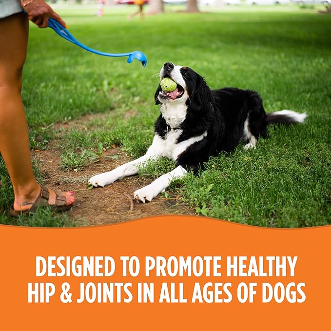 Pivotal Total K-9 Flex – All-Natural Hip and Joint Supplement for Dogs - with Glucosamine, MSM, Vitamin C, Chondroitin – Dog Joint Relief – 1lb
