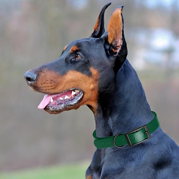 Dogline Biothane Coated Webbing Dog Collar with Black Metal Hardware: Durable Easy-Clean Everyday Collar for Dogs - Comfortable Adjustable Odor-Resistant Pet Collar, W1 x L22-25", Hunter Green