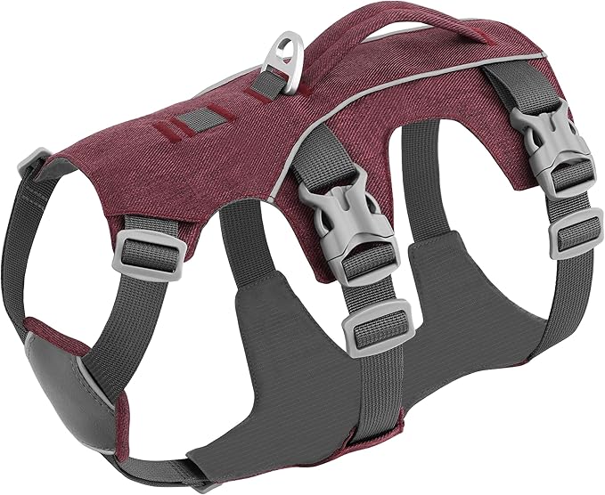 Escape Proof Dog Harness with Handle - Reflective No Pull Dog Vest, Lightweight Full Body Pet Harness Adjustable for Small Dogs Walking,Training(Maroon,Chest:14-22")