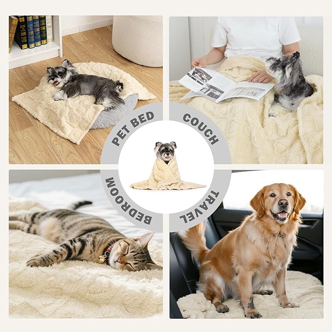 gogobunny Calming Plush Dog Cat Blanket 300GSM Coral Fleece, Ultra-Soft Machine Washable Pet Bedding for Small Medium Dogs Cats Puppies Kittens (Beige, 40x50)