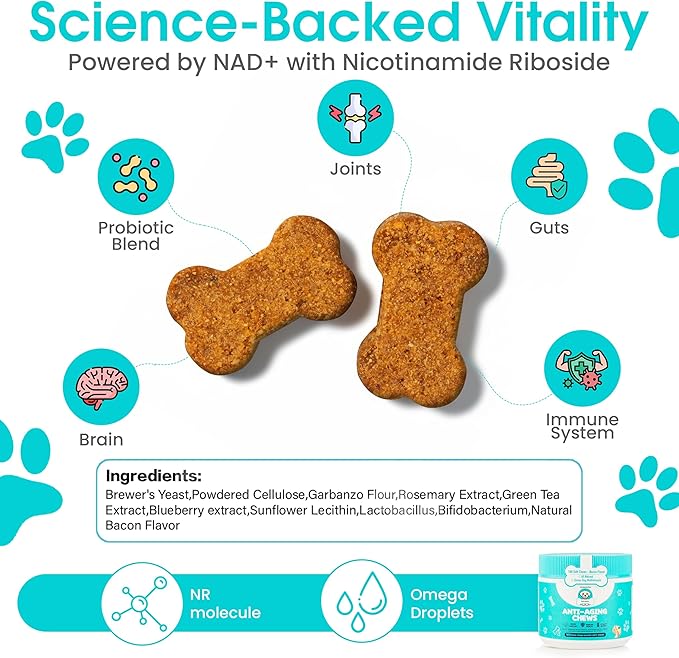 Anti-Aging Dog Supplement – Soft Chews for Senior Dogs with NAD+ Support from Nicotinamide Riboside, Omega-3, Amino Acids, Probiotics – Brain, Joint & Immune Health – Bacon Flavor – 100 Count