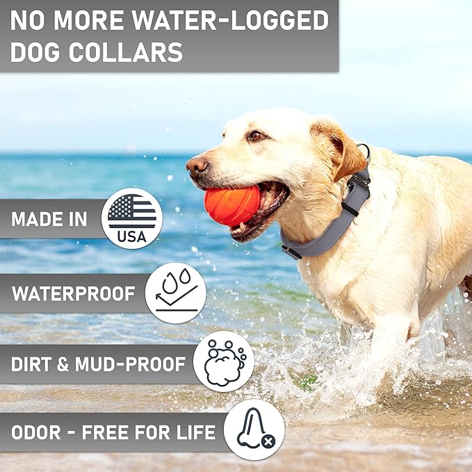 Biothane Dog Collar with Cobra Buckle - Made in USA - QR Code Dog Tag ID Included - Adjustable Heavy Duty Dog Collars for Medium Large Dogs - Waterproof Military Grade Tactical Collar