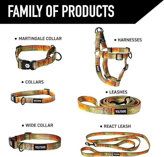 Wolfgang Heavy Duty Martingale Dog Collar with Quick Release Nylon Buckle for Walking & Training, CutBow Print, Small