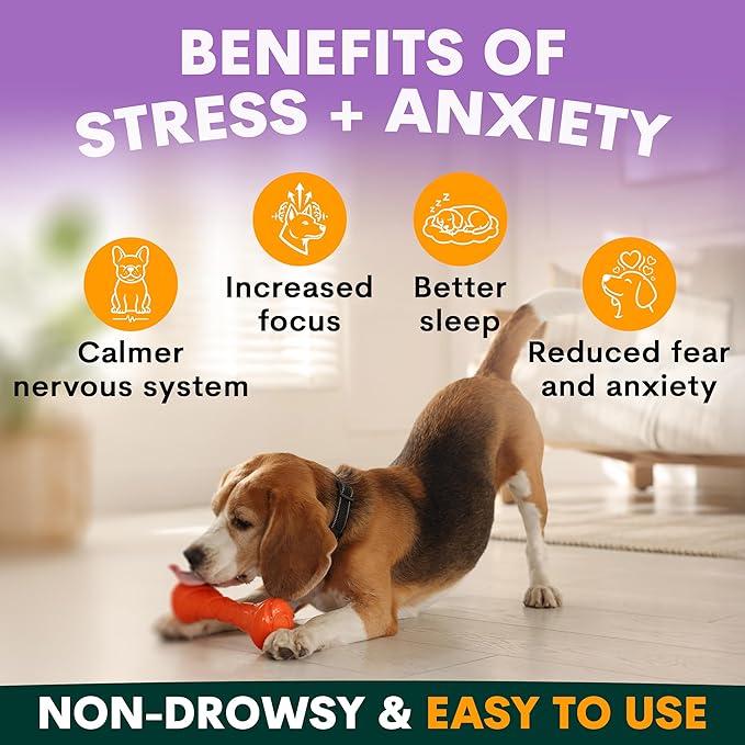 Stress and Anxiety Supplement for Dogs - Calming Dog Powder Supplement - Decreases Stress, Calms Fear & Anxiety, Eases Aggression & Insomnia, Relaxes Body and Mind - Beef Flavour - 6.4oz - 90 Scoops
