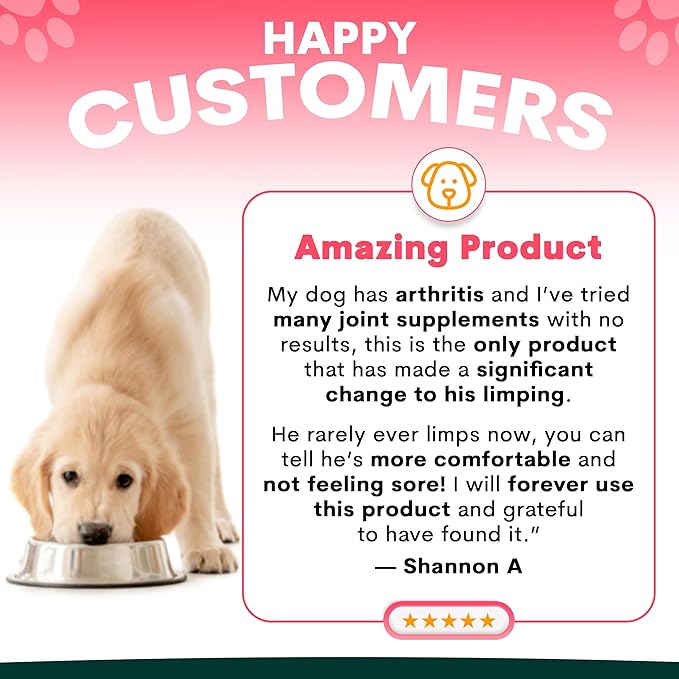 Petz Park Glucosamine for Dogs - Hip & Joint Support Powder with Chondroitin & MSM - Arthritis Pain Relief, Hip Dysplasia Treatment - 800mg Glucosamine - 45 Scoops
