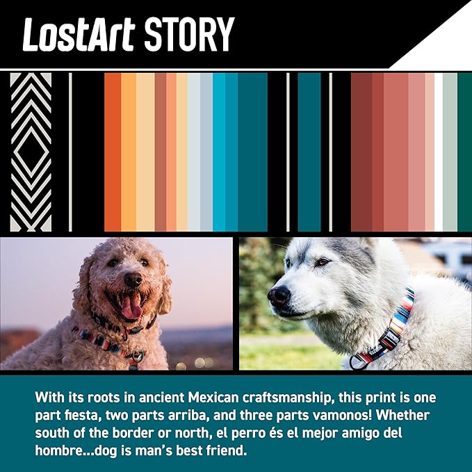 Wolfgang Heavy Duty Martingale Dog Collar with Quick Release Nylon Buckle for Walking & Training, LostArt Print, Medium