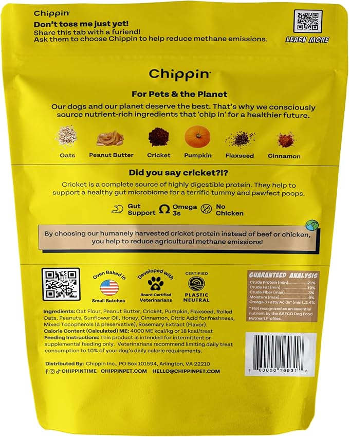 Chippin Peanut Butter Christmas Dog Treats, Chicken-Free – Sensitive-Stomach & Allergy-Friendly, Natural Healthy Puppy Training Treats, Pumpkin, Sustainable Cricket Protein, All Dog Sizes