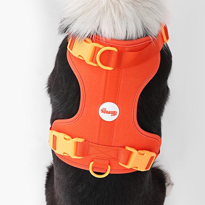 HNS1003A Arlo Large Adjustable Soft Padded No Pull Pet Harness with 3 Buckles and 3 Leash Clips, Aperol