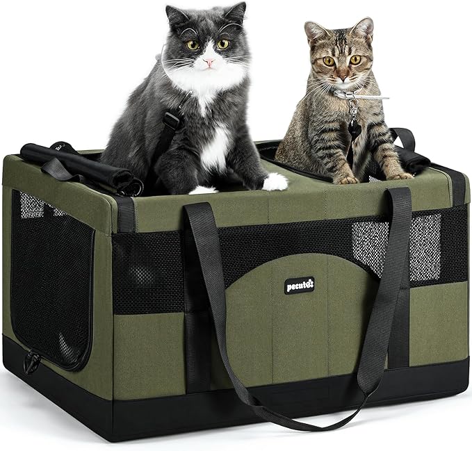 Pecute Cat Carrier for 2 Cats,Collapsible Soft Cat Carrier for Small to Medium Cat,can Hold 20lbs+ for Two Kitty Puppy,Stable and Secure Framework Design,Extra Large Dog Carrier for Travel,Green