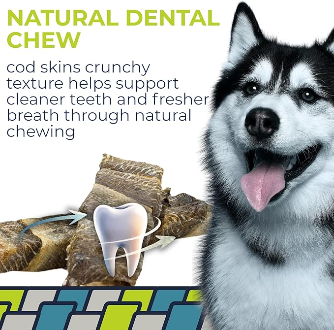 Momentum Carnivore Nutrition Long Cod Dog Chews – Single Ingredient Icelandic Cod Skin Treats – Natural Dental Support, High-Protein Fish Chews - 4.2 oz Bag
