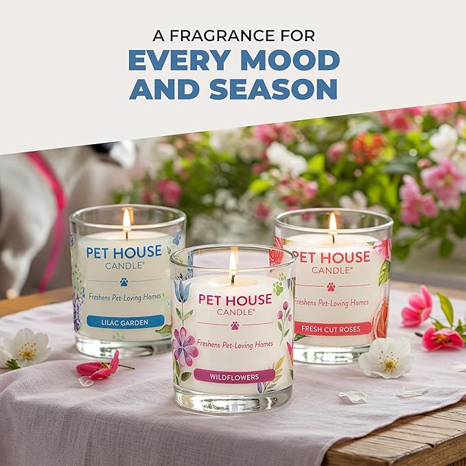 One Fur All Pet House Silver Birch Candle Plant-Based/Soy - Clean Burning Christmas Candles, Long Lasting Pet Odor Scented Candle for The Holiday