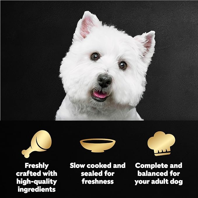 Cesar Filets in Gravy Wet Dog Food Filet Mignon Flavor and Rotisserie Chicken Flavor Variety Pack, 1.76 oz. Mini-Pouches, 20 Count (Pack of 2)
