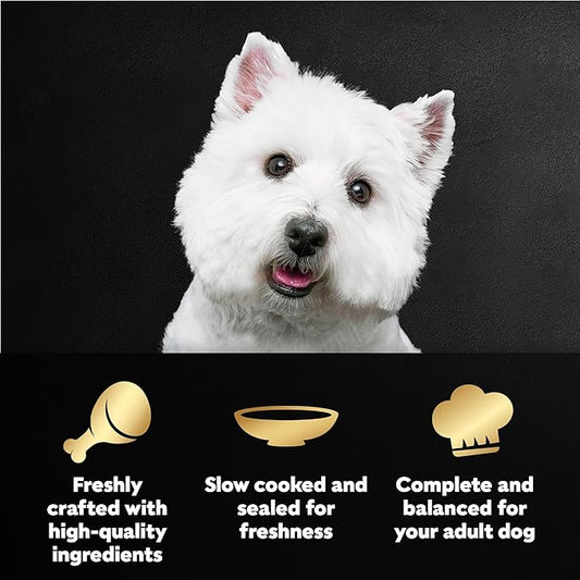 Cesar Filets in Gravy Wet Dog Food Filet Mignon Flavor and Rotisserie Chicken Flavor Variety Pack, 1.76 oz. Mini-Pouches, 20 Count (Pack of 2)