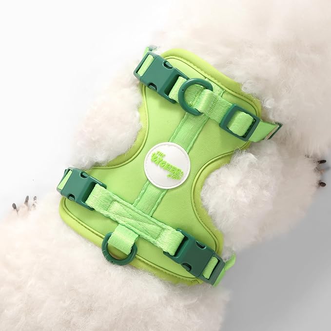 HNS1001B Arlo Small Adjustable Soft Padded No Pull Pet Harness with 3 Buckles and 3 Leash Clips, Mojito