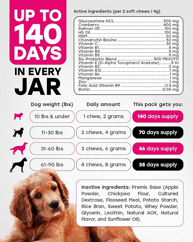 24-in-1 Complete Daily Multivitamin Dog Chews – Bacon Flavor – All-in-One PhD-Endorsed Support for Joints, Skin & Coat, Digestion, Immunity, Gut Health, Glucosamine, Omega-3, Probiotics - 140 Chews