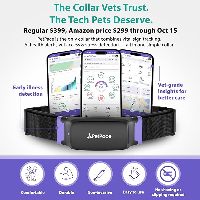 NEW Dog Health Monitor V3.0 by PetPace – AI Smart Collar with 24/7 Vital Signs, Pain & GPS Tracking, Telehealth AskaVet & Share With Your Vet, Smartwatch Sync – Subscription Required (Large)