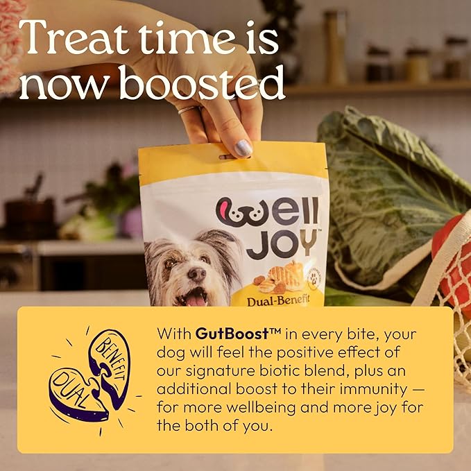 New! WellJoy Dog Treat Immune+ GutBoost | Vitamin E | Pumpkin for Sensitive Stomachs | Dual-Benefit GutBoost Formulation | Vet Formulated | USA Made | Made with Real Shredded Chicken | 30 Soft Chews