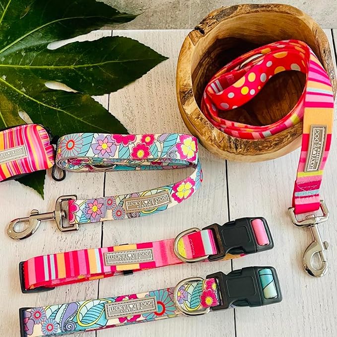 Lucky Love Dog - Adjustable Dog Collar with Easy Click Buckle for Small to Large Ones, Durable, & Comfortable for Male & Female Dogs, Pet Collar for Puppies & Adult Dogs - Molly, Medium