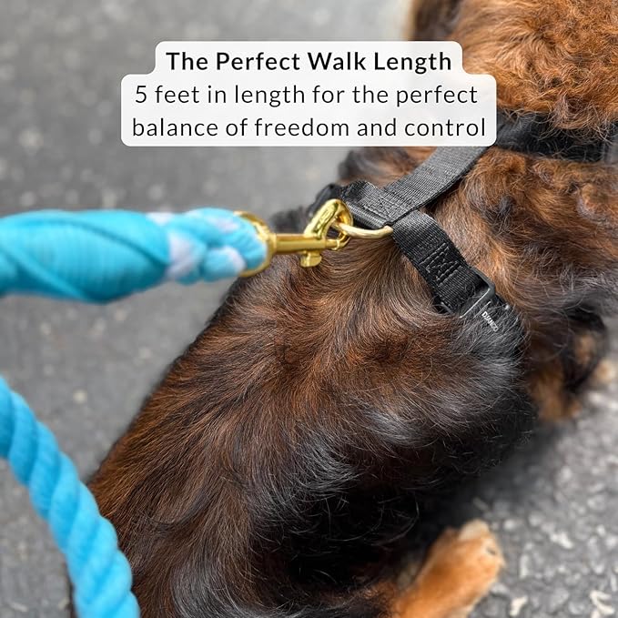 DJANGO Cotton Rope Dog Leash 5ft – Handcrafted Dog Leash and Blue Ombre Braided Leash for Small, Medium, Large Dogs – Durable 5 Foot Training Lead with Gold Hardware and Whipped Ends – Pacific Blue