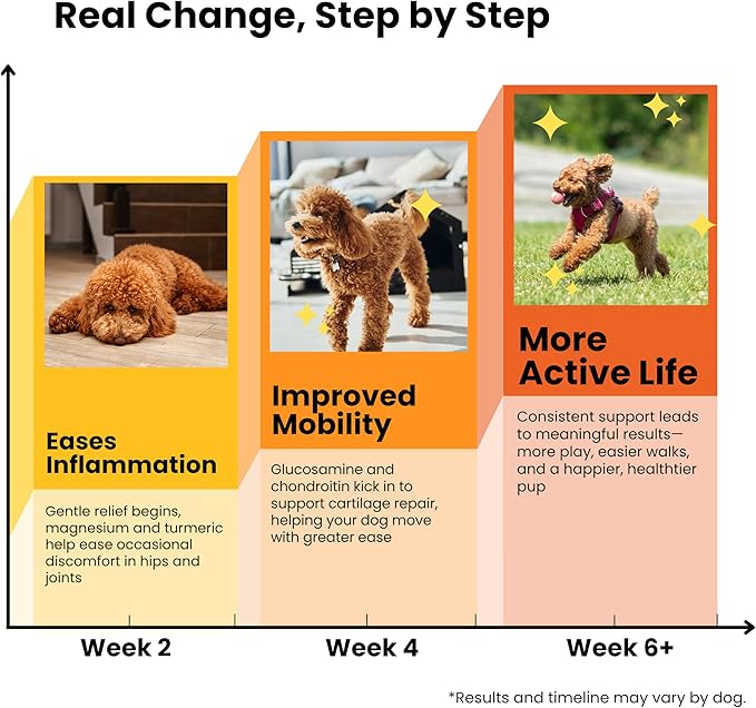 PAWPULSE FORMULA Advanced Mobility Dog Joint Supplement for Small Breeds – Hip & Joint Care, Arthritis & Pain Relief with Glucosamine, Chondroitin, MSM, Turmeric, Green Lipped Mussel – 120 Soft Chews