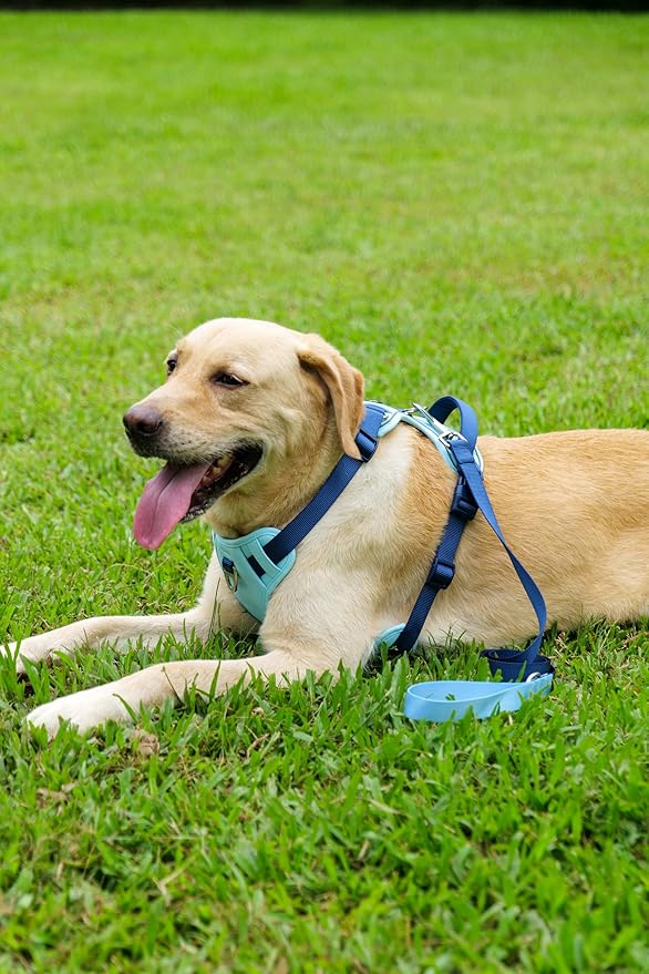 No Pull Dog Harness Leash and Collar Set, Adjustable Dogs Vest with Reflective Strip Soft Handle for Small Medium Large Sized Dog Blue