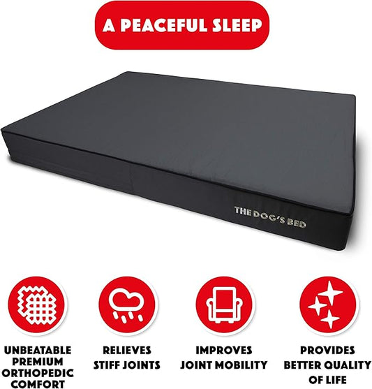 The Dog’s Bed Orthopedic Memory Foam Dog Bed, XXL Grey & Black, Waterproof, Supportive Dog Bed with Replaceable Covers