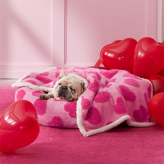 LE SURE Waterproof Puppy Blanket for Medium Dogs - Washable Double Sided Dog Blankets with Warm Jacquard Shag and Soft Sherpa Fleece, Pet Cat Blanket for Couch Protection, Love Pattern Design，Pink