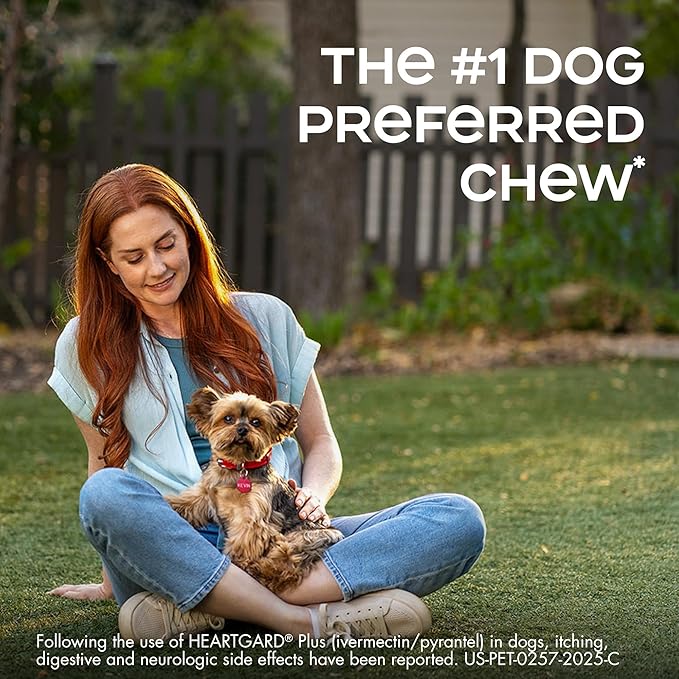 HEARTGARD® Plus (ivermectin/pyrantel) Real-Beef Chewables for Dogs up to 25 lbs (Blue Box) 12 Month Supply of Chews (Heartworm Disease Preventive)