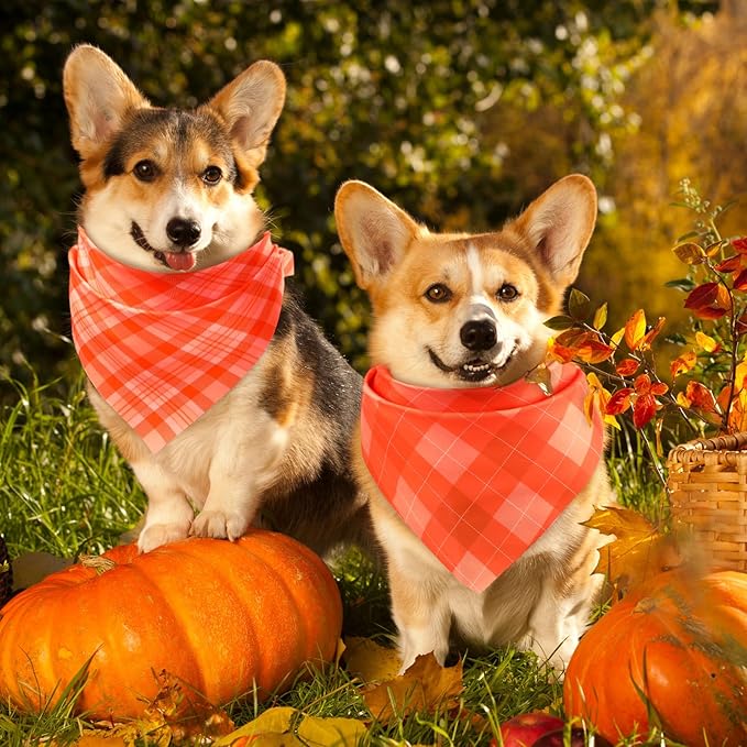 Abbylike 200 Pcs Thanksgiving Dog Bandanas Bulk Plaid Bandanas for Dogs Triangle Kerchief Bib Scarf Sets for Pets Cats Fall Costume Photo Props Accessories Pet Shops Groomers Services, 25 Styles