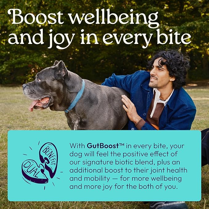 WellJoy Dog Supplement Joint+ GutBoost | Dog Health Supplement | Supports Healthy Flexible Joints | Dual-Benefit GutBoost Formulation | Vet Formulated | USA Made | Chicken Flavor | 90 Soft Chews