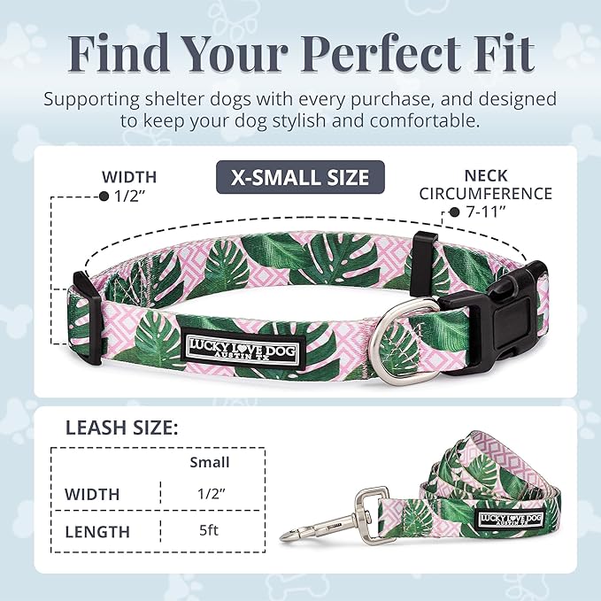 Lucky Love Dog, Tropical Matching Dog Collar & Leash Set, Soft & Comfy, Vivid Pink Color Collar and Leash for Female Male Dogs - (X-Small, Laguna Combo)