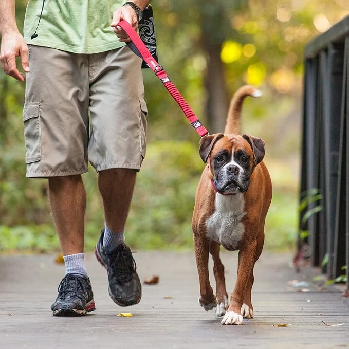 EzyDog Zero Shock Dog Leash - Shock Absorbing Bungee Leash for Dogs That Pull or Excite - Dual Handle and Reflective for Large, Medium, or Small Dogs (48-inch, Orange)