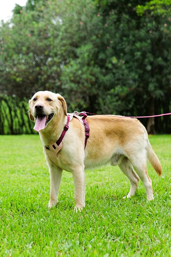 No Pull Dog Harness Leash and Collar Set, Adjustable Dogs Vest with Reflective Strip Soft Handle for Small Medium Large Sized Dog Pink