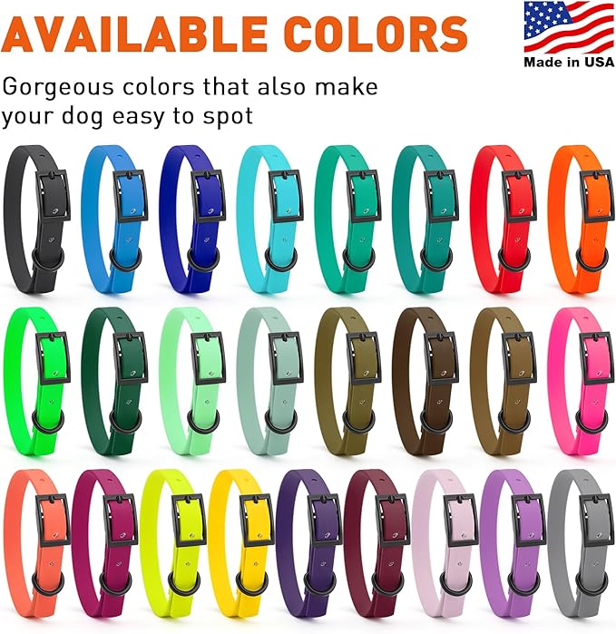 Dogline Biothane Coated Webbing Dog Collar with Black Metal Hardware: Durable Easy-Clean Everyday Collar for Dogs - Comfortable Adjustable Odor-Resistant Pet Collar, W1/2" x L9-12, Sea Foam Green