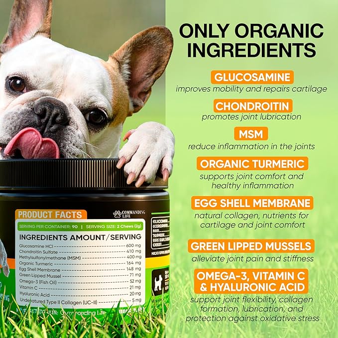 Glucosamine & Chondroitin for Dogs – Hip and Joint Supplement Chews with MSM, Vitamin C, Turmeric, Omega-3 for All Breeds – Pain & Mobility Support – 2-Month Supply – Chicken Flavor