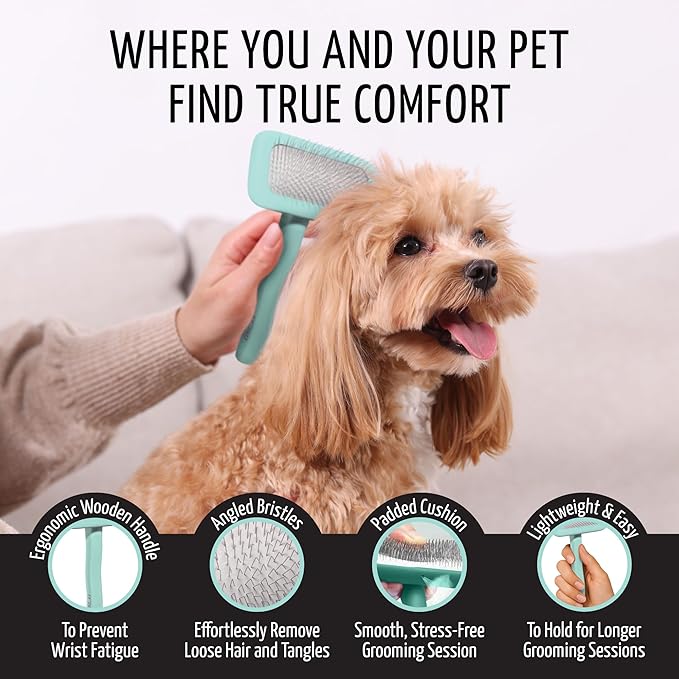 Tauro Pro Line Dog Brush for Shedding - Labradoodle, Goldendoodle or Poodle Long or Medium Hair - Slicker Brush for Dogs & Cat Grooming, Flexible Cushion & Non-Slip Grip (Size M - Mint)