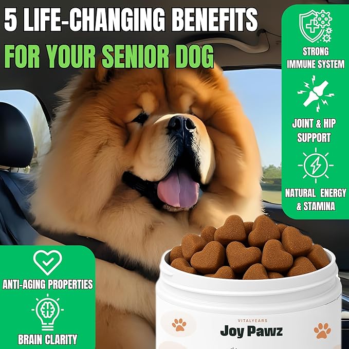Senior Dog Supplement & Raise NAD+ Levels, Anti Aging, Tumeric, Multivitamin, Probiotics - Soft Chews - Brain, Joint & Immune Support – Chicken Flavor, 100pc