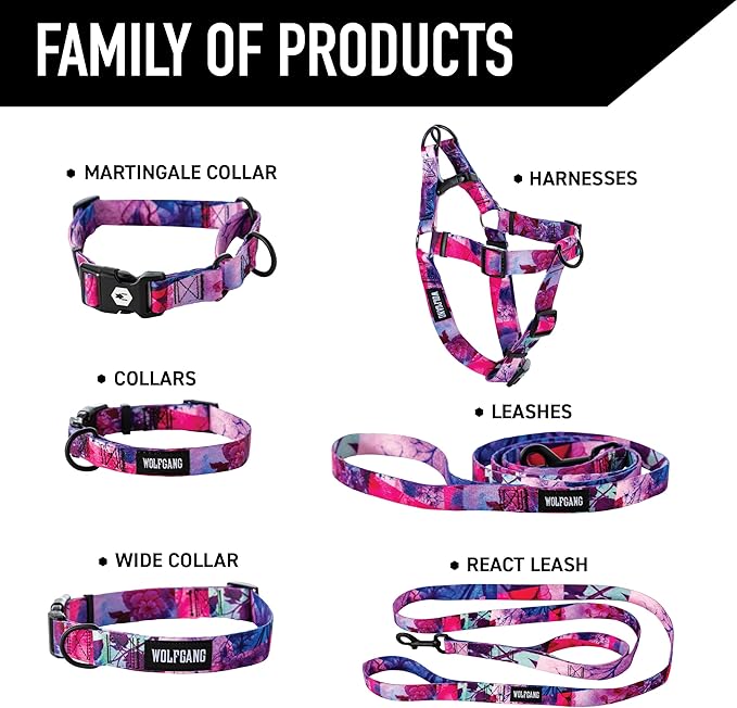 Wolfgang Heavy Duty Martingale Dog Collar with Quick Release Nylon Buckle for Walking & Training, Daydream Print, Extra Large