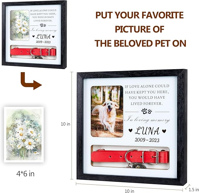 Pet Memorial Picture Frame Dog Collar Shadow Box 10"x10", Sympathy Remembrance Gift Keepsake for Loss of Dog or Cat, for Medium or Small Size Collars