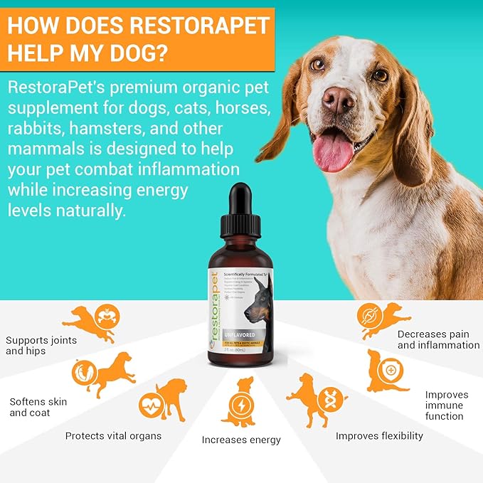 RestoraPet 4-Pack Dog & Cat Unflavored Liquid Multivitamin | Dog Arthritis Pain Relief | Hip&Joint Vitamins for Dogs | Anti Inflammatory Supplement for Dogs & Cats | Organic & Non-GMO, Vet Approved