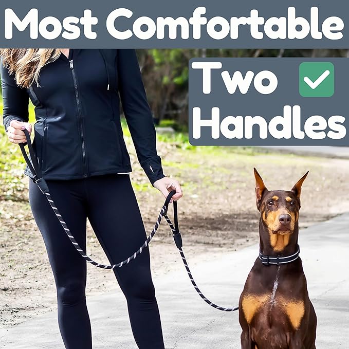 Premium 6 Ft Dog Leash - Two Extra Padded Handles, Heavy Duty Leashes for Medium Dogs to Large Breeds, Reflective, Shock-Absorbing, Anti-Pull Rope Leash, Strong Pet Lead for Everyday Walks - Roam Gear