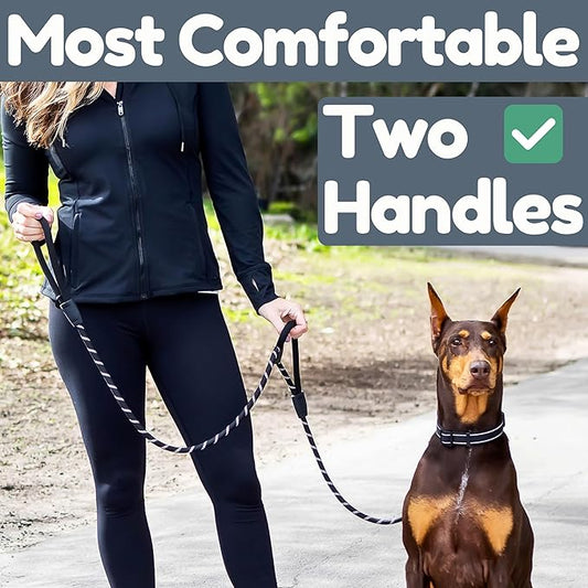 Premium 6 Ft Dog Leash - Two Extra Padded Handles, Heavy Duty Leashes for Medium Dogs to Large Breeds, Reflective, Shock-Absorbing, Anti-Pull Rope Leash, Strong Pet Lead for Everyday Walks - Roam Gear