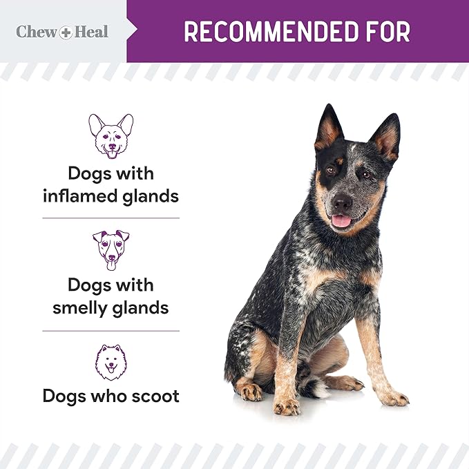 Chew + Heal Labs Glands Bowel Support - 14 oz of Stop The Scoot Powder for Scooting, Healthy Anal Glands, and Digestive Health - Made with Pumpkin Powder for Dogs