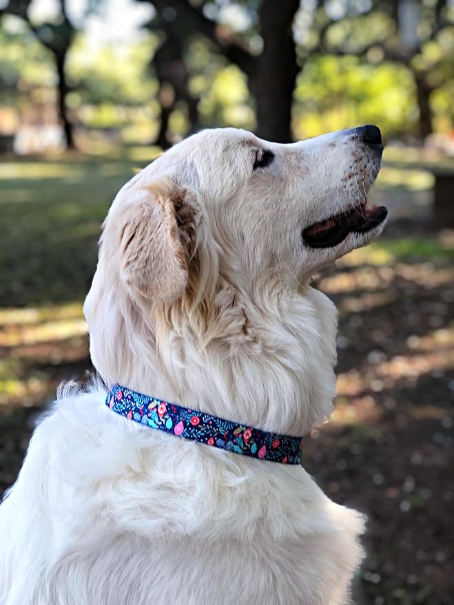 Lucky Love Dog - Adjustable Collar and Leash Set with Easy Click Buckle for Small to Large Dogs, Durable, & Comfortable Collar for Male & Female Dogs, Puppies & Adult - Sweet Holiday Combo, Medium