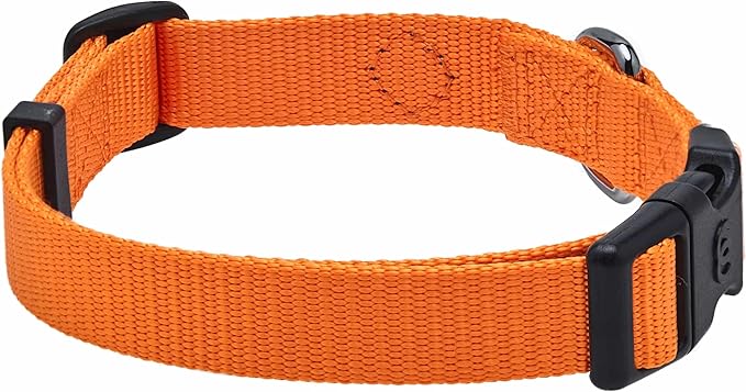 Blueberry Pet Essentials Matching Dog Collar and Leash Set in Orange Vermilion, Adjustable Classic Solid Color Nylon Collar with 5 ft Leash for Small Dogs