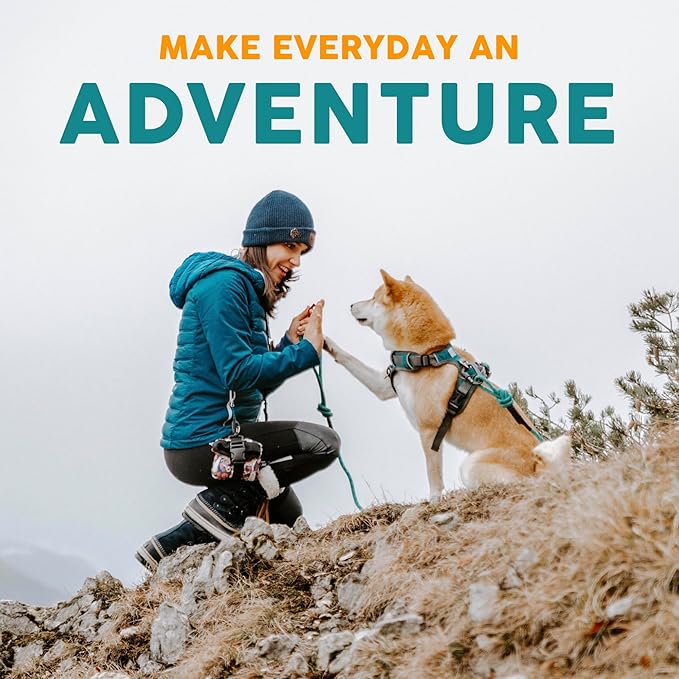 Embark Adventure Dog Collar – Stylish & Durable Nylon Collar for Medium Dogs, Comfortable & Adjustable Pet Collar for Medium Sized Dog with Strong Buckles